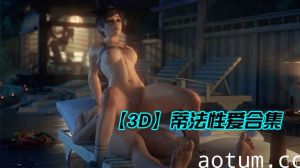 【3D】蒂法性爱合集海报