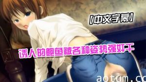 【中文字幕】诱人的鲍鱼被各种姿势强奸干