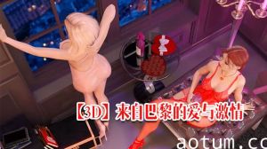 【3D】来自巴黎的爱与激情海报