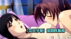 【中文字幕】懲罰性指導海报