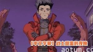 【中文字幕】战士甜蜜的夜晚海报