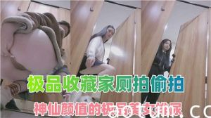 极品收藏家厕拍偷拍神仙颜值的极品美女排尿海报
