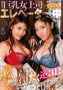 新村あかり-DVDMS-680 一般男女ドキュメントAV 強気な巨乳女上司たちと灼熱のエレベーターの中に閉じ込められて…熱気