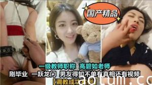 成功调教老师海报