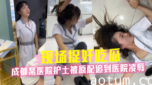 成都某医院护士被原配追到医院凌辱海报