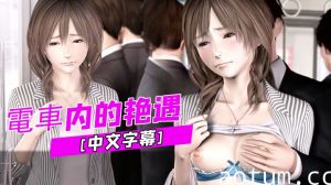[中文字幕]電車内的艳遇海报