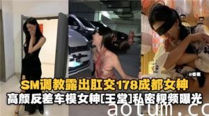 SM调教露出肛交178成都女神高颜反差车模女神私密视频曝光海报