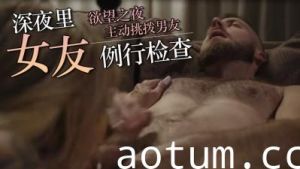 信用检查的诱惑：激情秘密服务海报