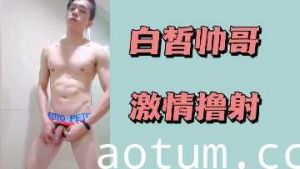 白皙帅哥激情撸管喷发高潮海报