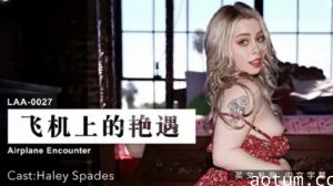 飞机上的艳遇：万米高空厕所激情，陌生美女跪求抽插！