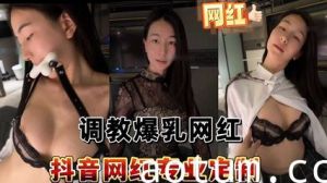 泄密抖音网红专业定制调教爆乳网红海报