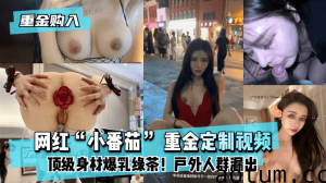 网曝-【重金购入】网红“小番茄” 重金定制视频！顶级身材爆乳绿茶！户外人群漏出！