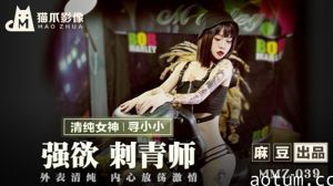麻豆-强欲刺青师-寻小小海报