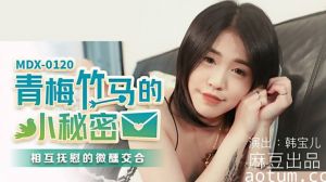 麻豆-青梅竹马的小秘密相互抚慰的微薰交合-韩宝儿