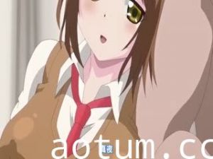 情スイッチ ～堕とされた少女達～ THE ANIMATION [中文字幕]
