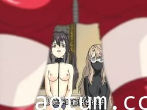 (18禁-ア-ニ-メ-) （無-修-正-）[DISCOVERY] PIGEON BLOOD -ピ-ジ-ョ-ン-ブ-ラ-ッ-ド 2nd Training