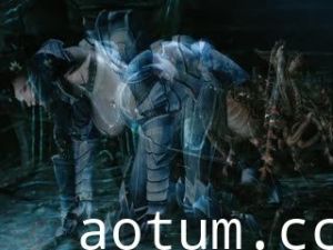 Skyrim Female Adventurer who i海报