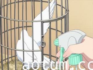 魔术学姐：第4话 庆祝的学姐 星探学姐 鸽子与鸽子与学姐 搞