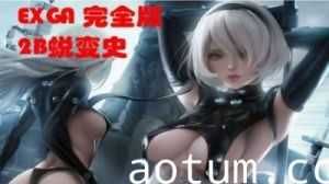 EXGA尼尔：2B小姐姐的蜕变史！下海报