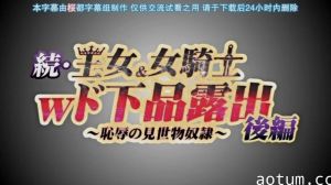 第二集长期持续的超级大国之间的战争以德米纳斯帝国的胜利而告终。引导爱尔斯塔王国走向灭