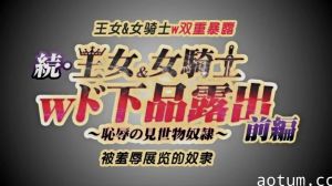 第一集长期持续的超级大国之间的战争以德米纳斯帝国的胜利而告终。引导爱尔斯塔王国走向灭