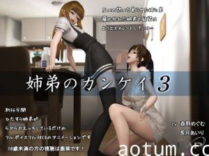 [夜桜字幕组][IMP] 姉弟のカンケイ3[BIG5]