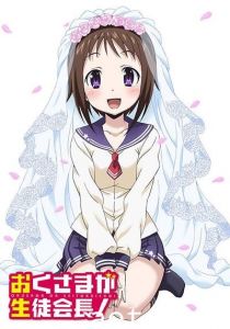 [HYSUB]Okusama ga Seitokaichou! ![02][BDrip][BIG5_MP4][1920X1080]海报