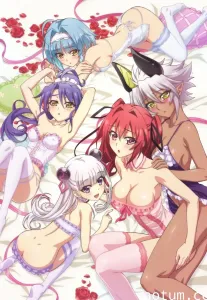 [VCB-Studio] Shinmai Maou no Testament BURST [10][Ma10p_1080p][x265_flac]海报