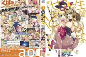 中字-紧紧绑着的拥护者3海报