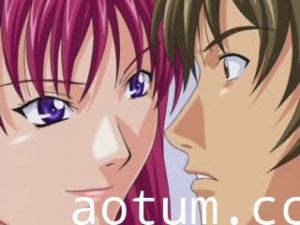 (18禁アニメ) DISCIPLINE 序章 (DVD 640x480 WMV3)海报