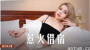 麻豆-惹火借宿-米亚海报