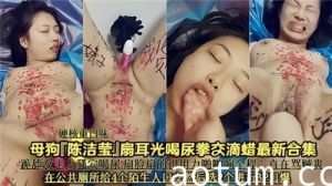母狗陈洁莹扇耳光喝尿拳交滴蜡最新合集