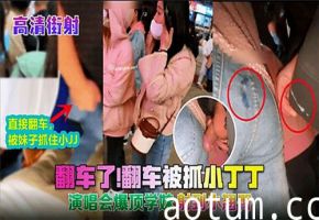 演唱会街射翻车了被抓小丁丁海报