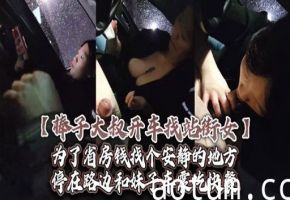 棒子大叔开车找站街女为了省房钱找个安静的地方海报