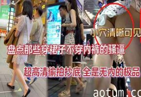抄底精品盘点那些穿裙子不穿内裤的骚逼超高清偷拍抄底全是无内的极品