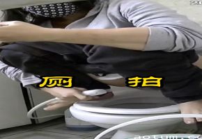 厕拍蹲在马桶上冲洗逼逼这是什么操作偷拍探花李寻欢海报