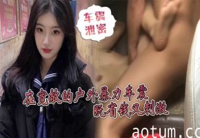 车震泄密在宽敞的户外暴力车震既省钱又刺激