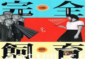 密室调教：欲望的囚禁与绽放