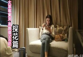 大草莓寶具高颜值E奶探花篇