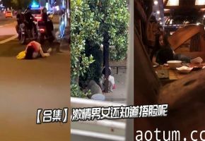 【合集】激情男女还知道捂脸呢海报
