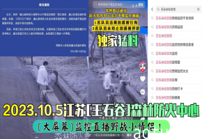 江苏[王石谷]森林防火中心[大屏幕]监控直播野战小情