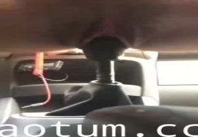 骨感美少女重口味真的重操车档