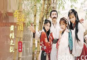 国产剧情奇淫三国之黄精之乱