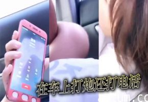 在车上打炮还打电话海报