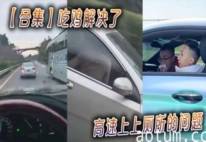 【合集】吃鸡解决了高速上上厕所的问题