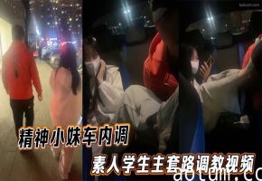 精神小妹车内调_素人学生主套路调教视频