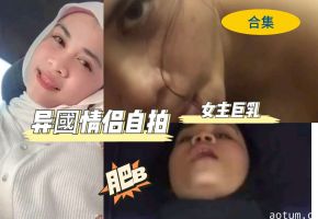 国外情侣自拍海报