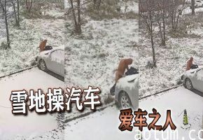 雪地操汽车爱车之人海报