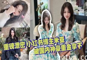 重磅泄密 小红书博主米亚 被国内神豪重金拿下 极品颜值 完美露脸 各种情趣内衣极致诱惑 无套内射 有钱真好啊
