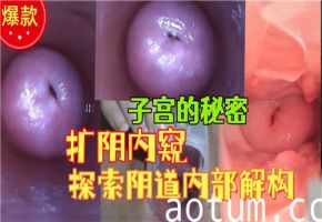 阴道内部大揭秘：扩阴器撑开私密花园，深入探索子宫深处刺激构造！